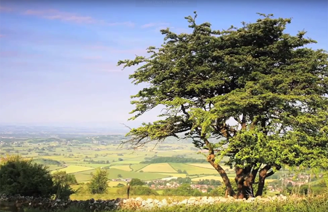 north somerset mendip hills